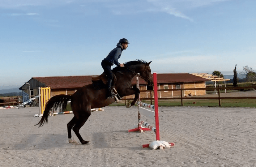 clément stevenin cavalier professionnel